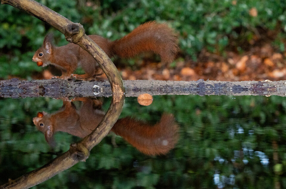 Fotohut Han Bouwmeester - HBN4