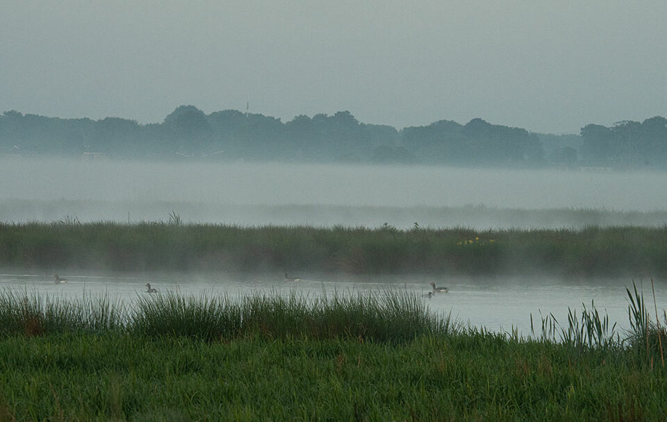 DagjeindeNatuur.nl Zuidlaardermeer