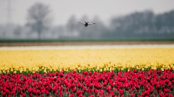 Dronelocaties in Nederland