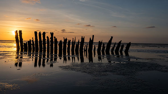 Fotograferen in het najaar