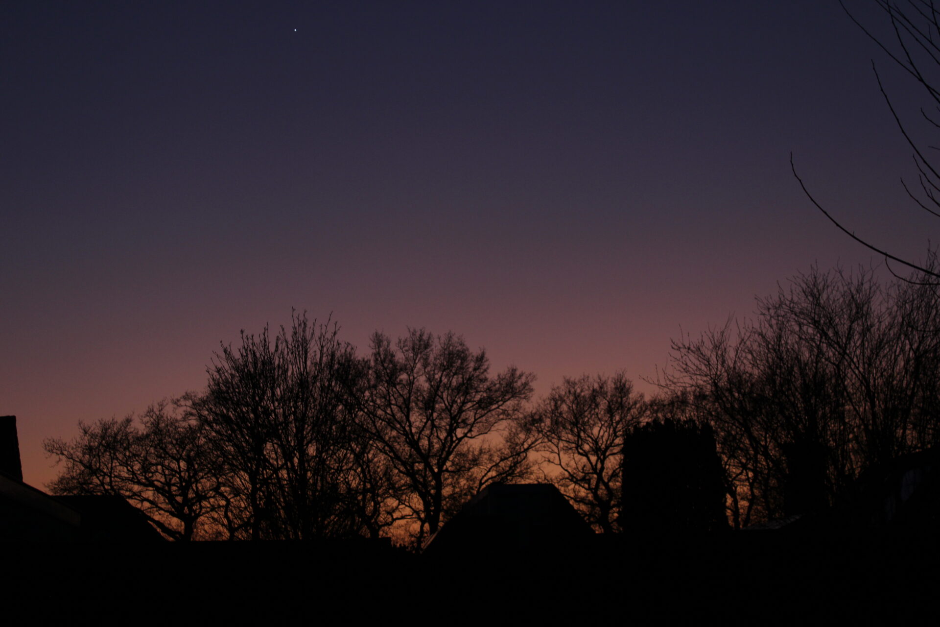 Landschap 