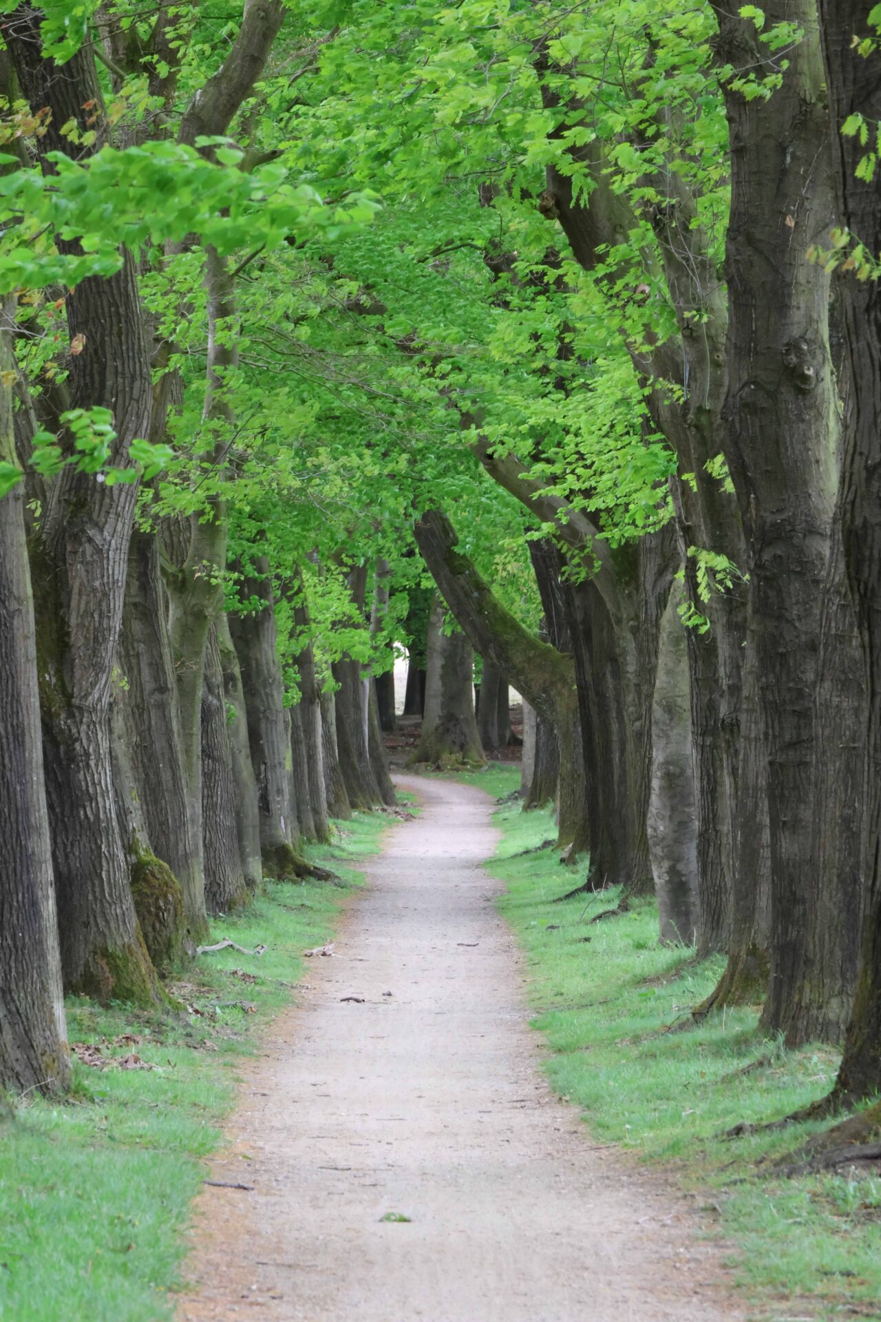 Landschappen